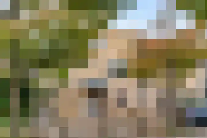 Bertha von Suttnerlaan 18 Utrecht thumbnail 29