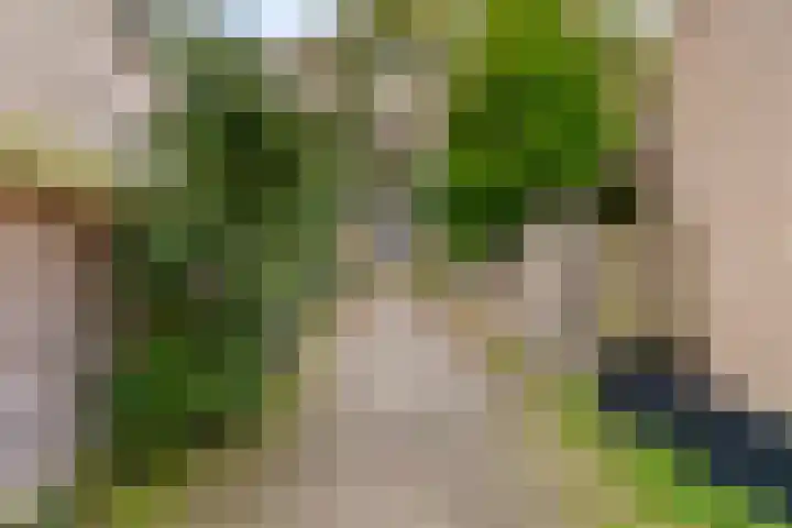 Bertha von Suttnerlaan 18 Utrecht thumbnail 32