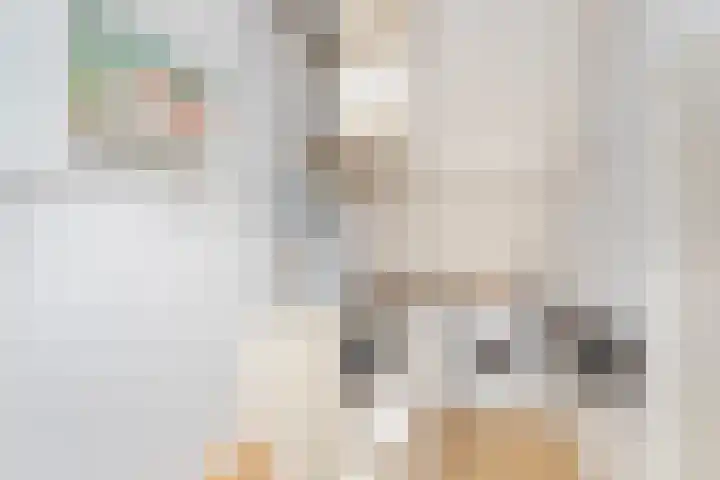 Bertha von Suttnerlaan 4 Utrecht thumbnail 18
