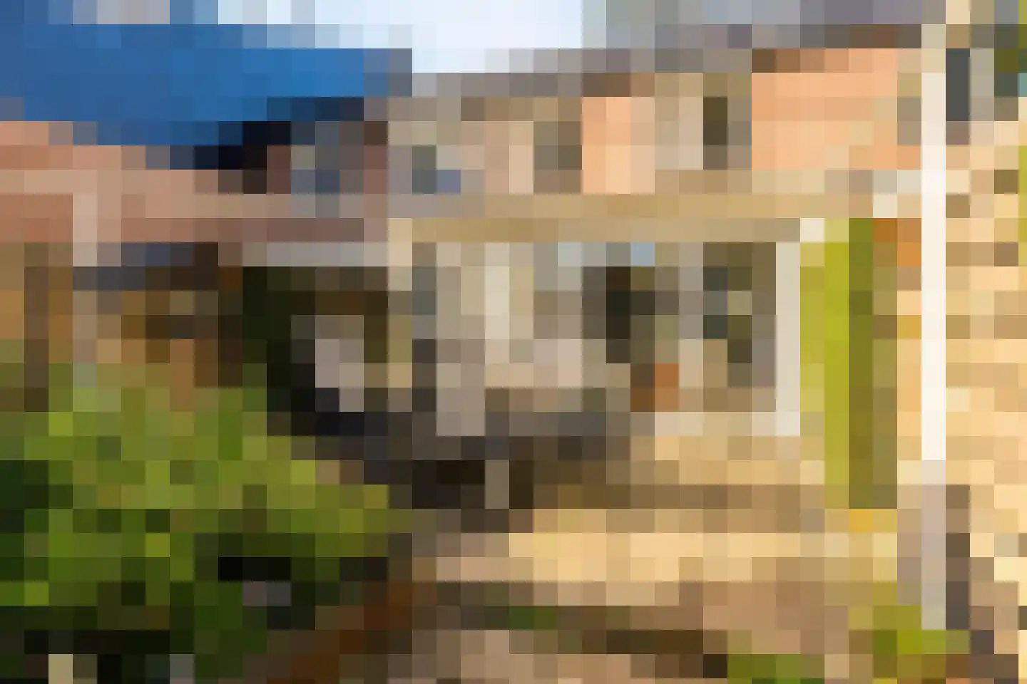 Bertha von Suttnerstraat 13 Hoofddorp thumbnail 27