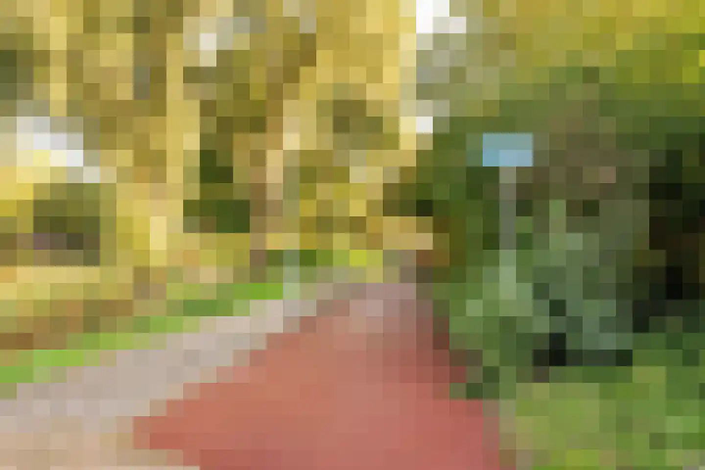 Bertha von Suttnerstraat 13 Hoofddorp thumbnail 32