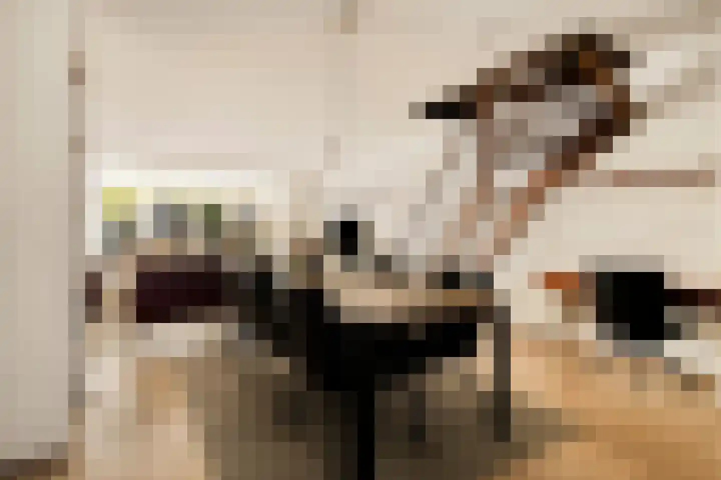 Bertha von Suttnerstraat 13 Hoofddorp thumbnail 4
