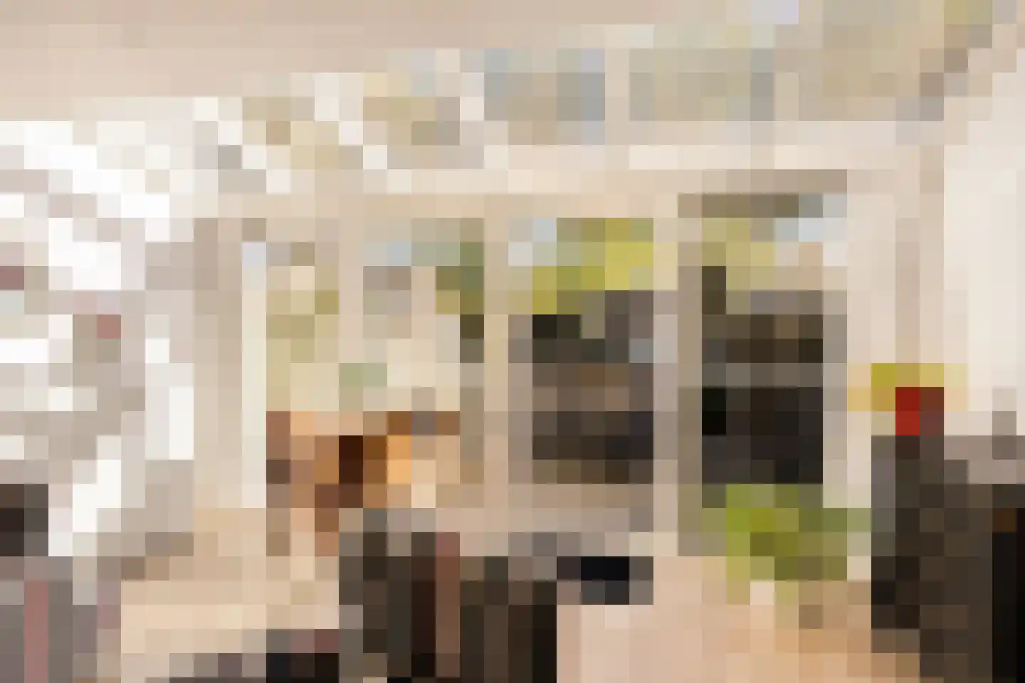 Bertha von Suttnerstraat 13 Hoofddorp thumbnail 5