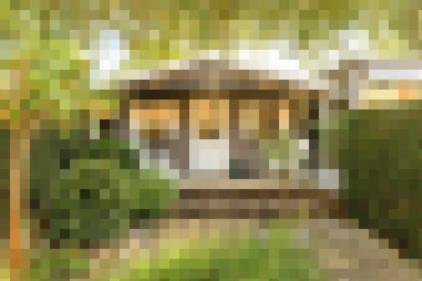 Bertha von Suttnerstraat 13 Hoofddorp thumbnail 6