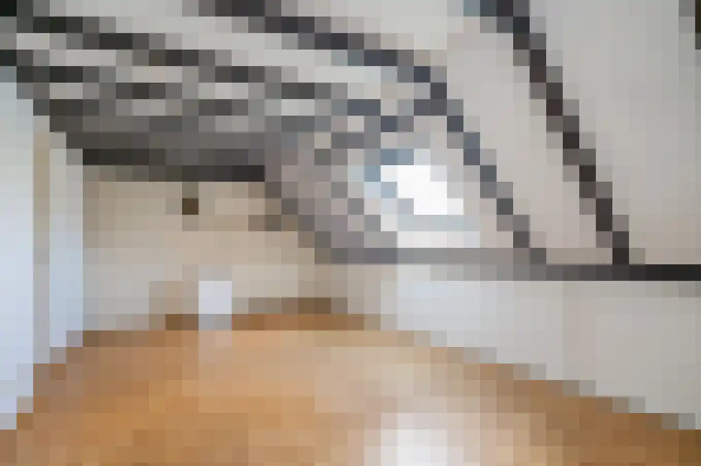 Bertha von Suttnerstraat 17 Rijswijk thumbnail 43
