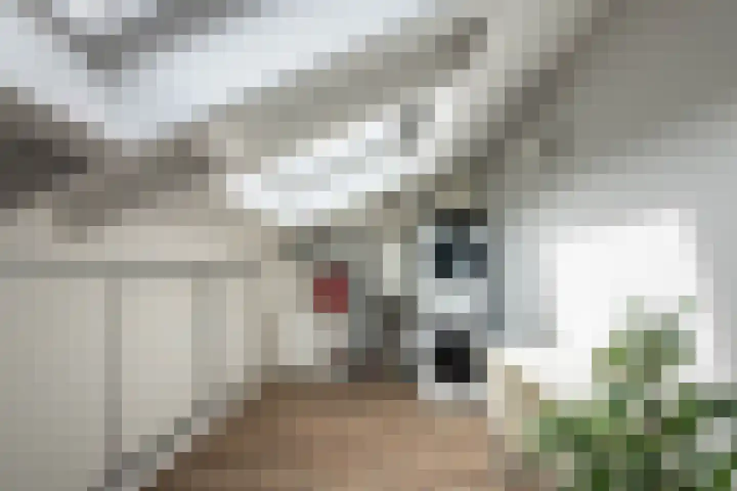 Bertha von Suttnerstraat 23 Hoofddorp thumbnail 40