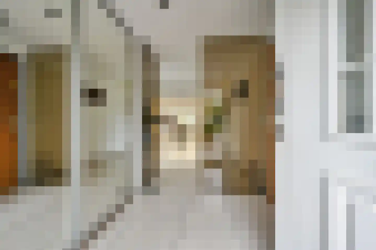 Bertha von Suttnerstraat 25 Rijswijk thumbnail 11