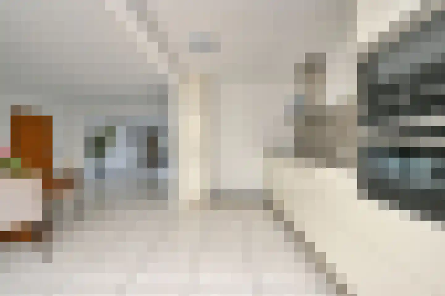 Bertha von Suttnerstraat 25 Rijswijk thumbnail 20