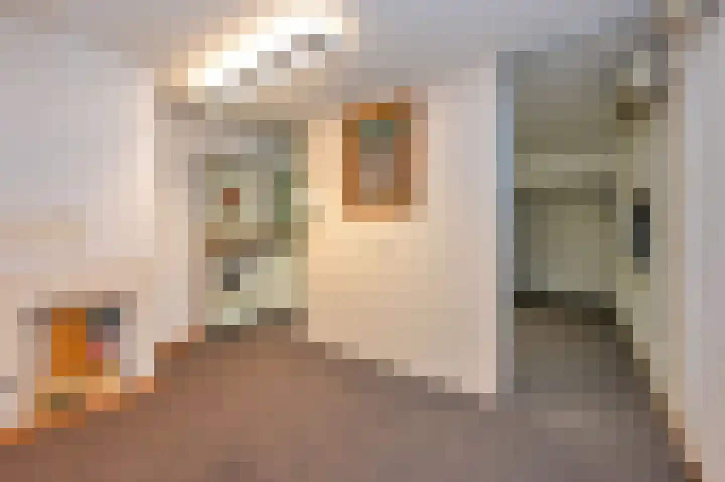 Bertha von Suttnerstraat 25 Rijswijk thumbnail 31