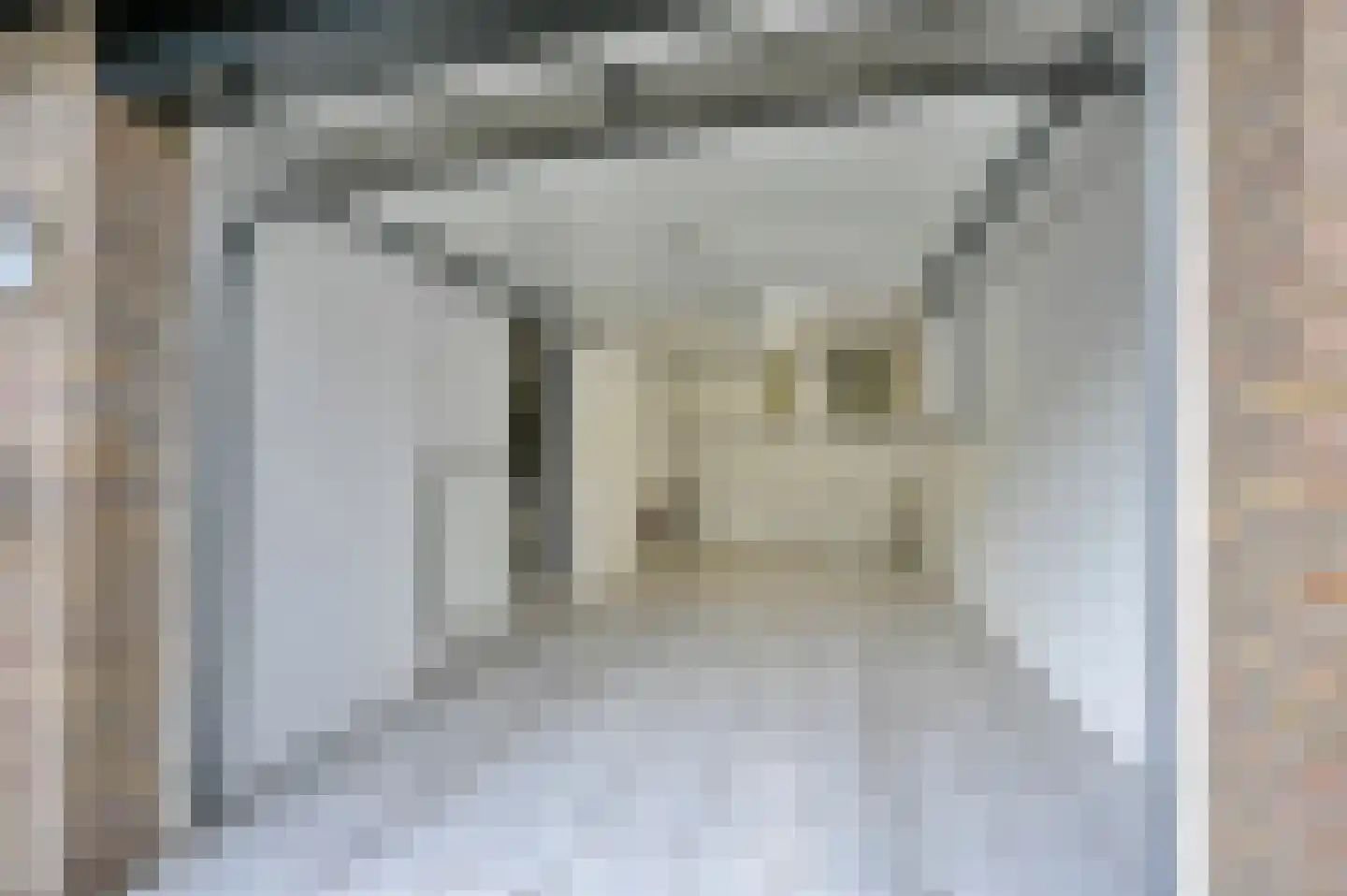Bertha von Suttnerstraat 25 Rijswijk thumbnail 38
