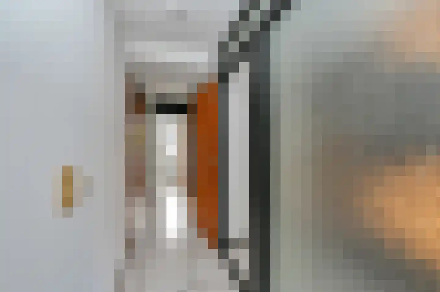 Bertha von Suttnerstraat 25 Rijswijk thumbnail 46