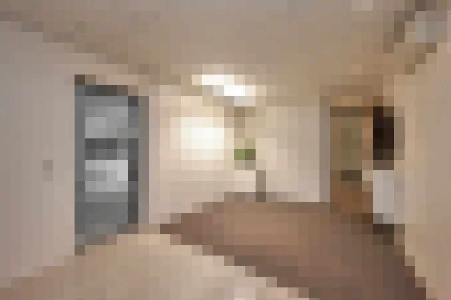 Bertha von Suttnerstraat 25 Rijswijk thumbnail 5