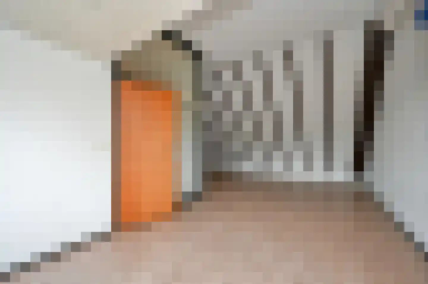 Bertha von Suttnerstraat 25 Rijswijk thumbnail 56
