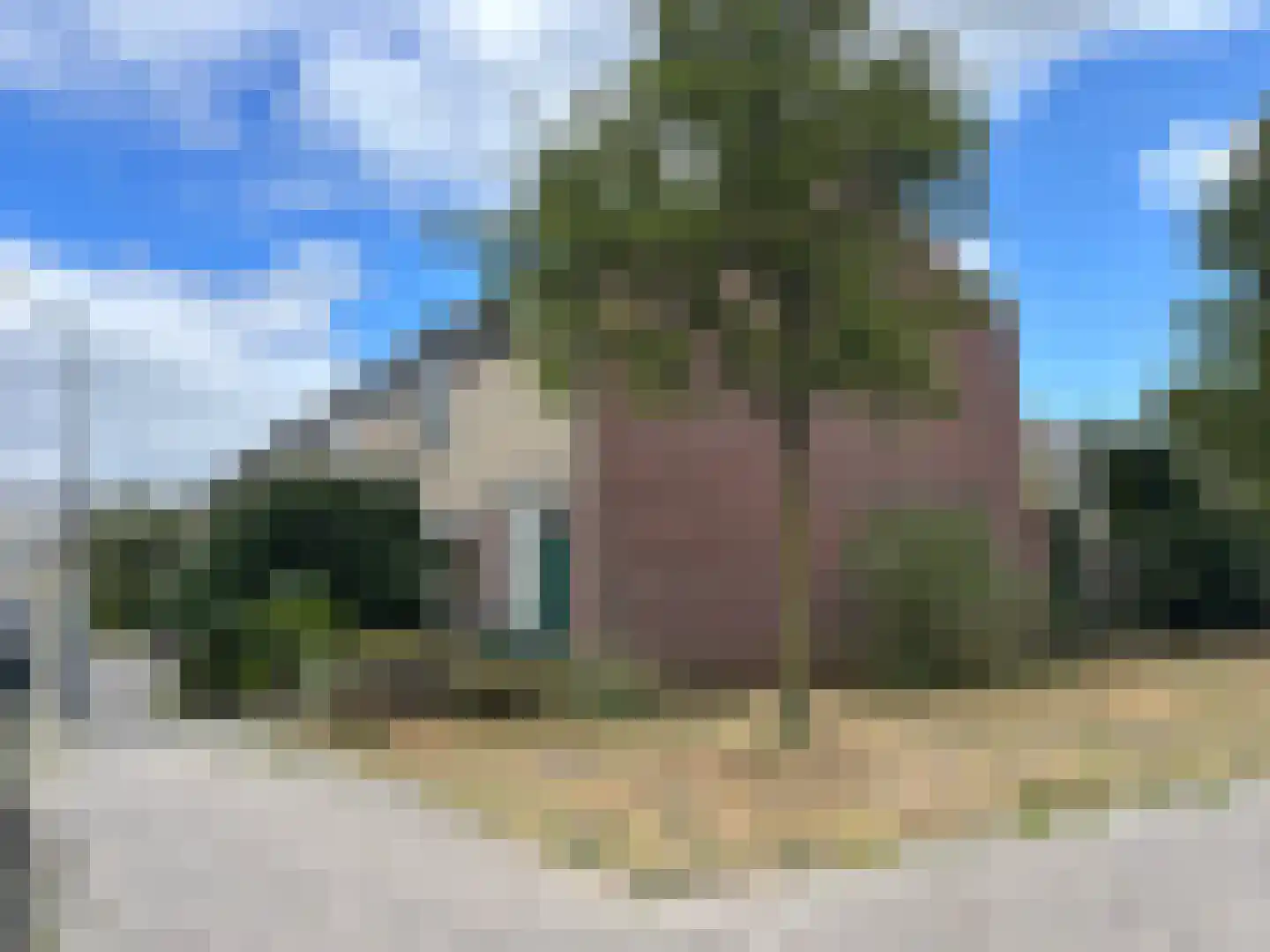 Bertha von Suttnerstraat 26 Haarlem thumbnail 21