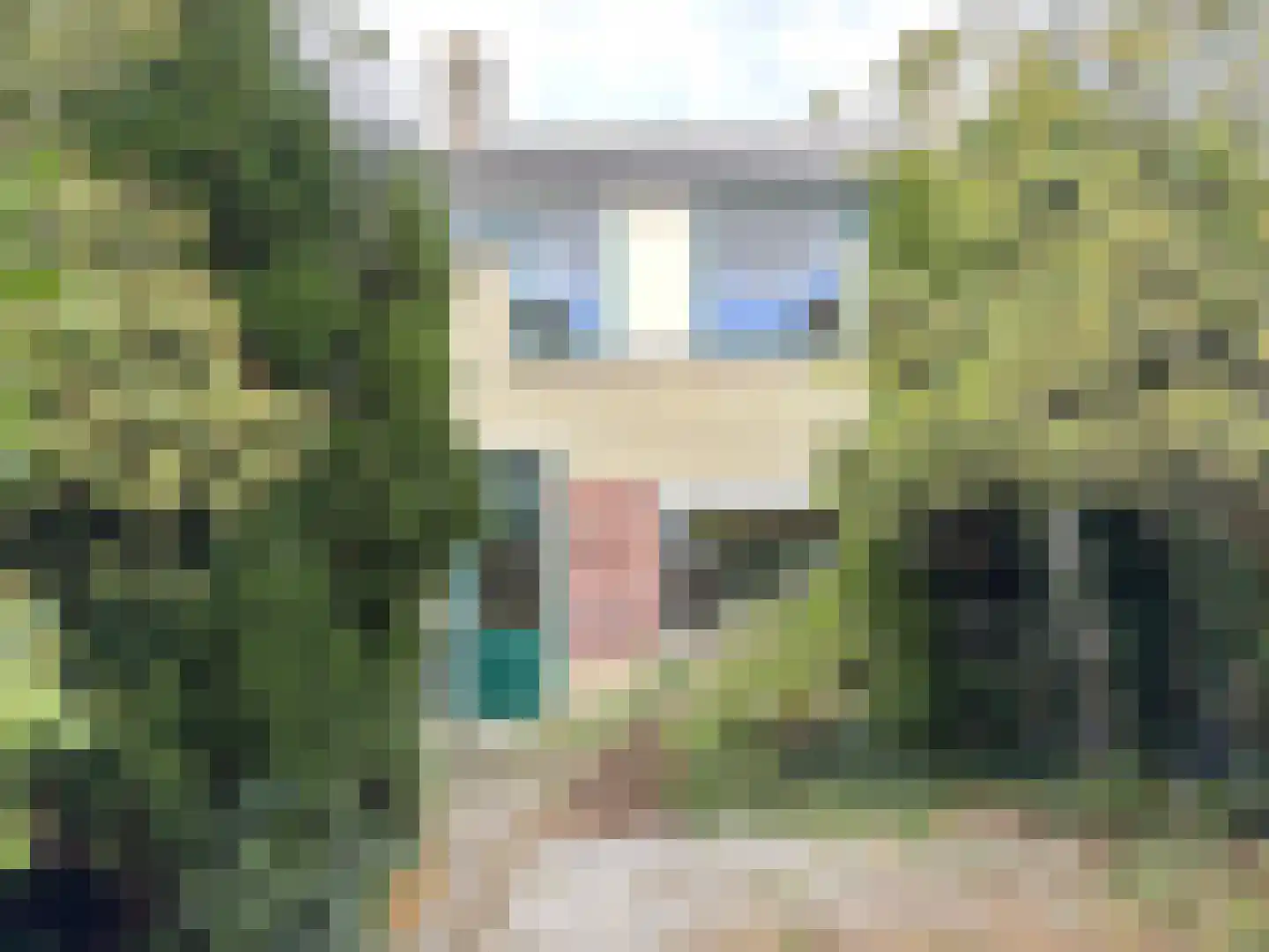 Bertha von Suttnerstraat 26 Haarlem thumbnail 7