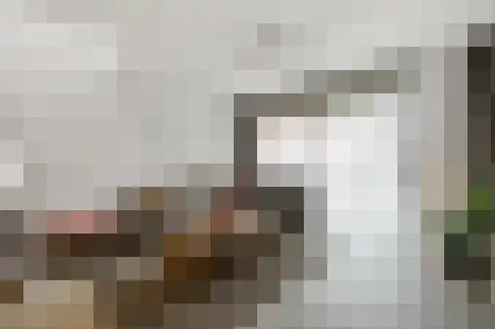 Bertha von Suttnerstraat 4 Amsterdam thumbnail 7