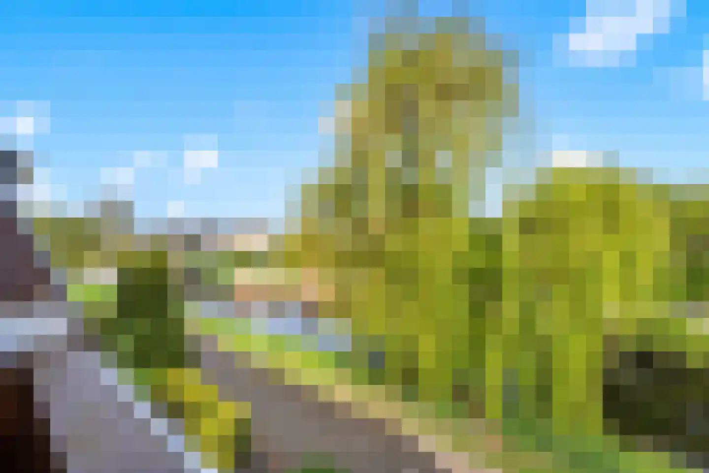 Bertha von Suttnerstraat 49 Hoofddorp thumbnail 16