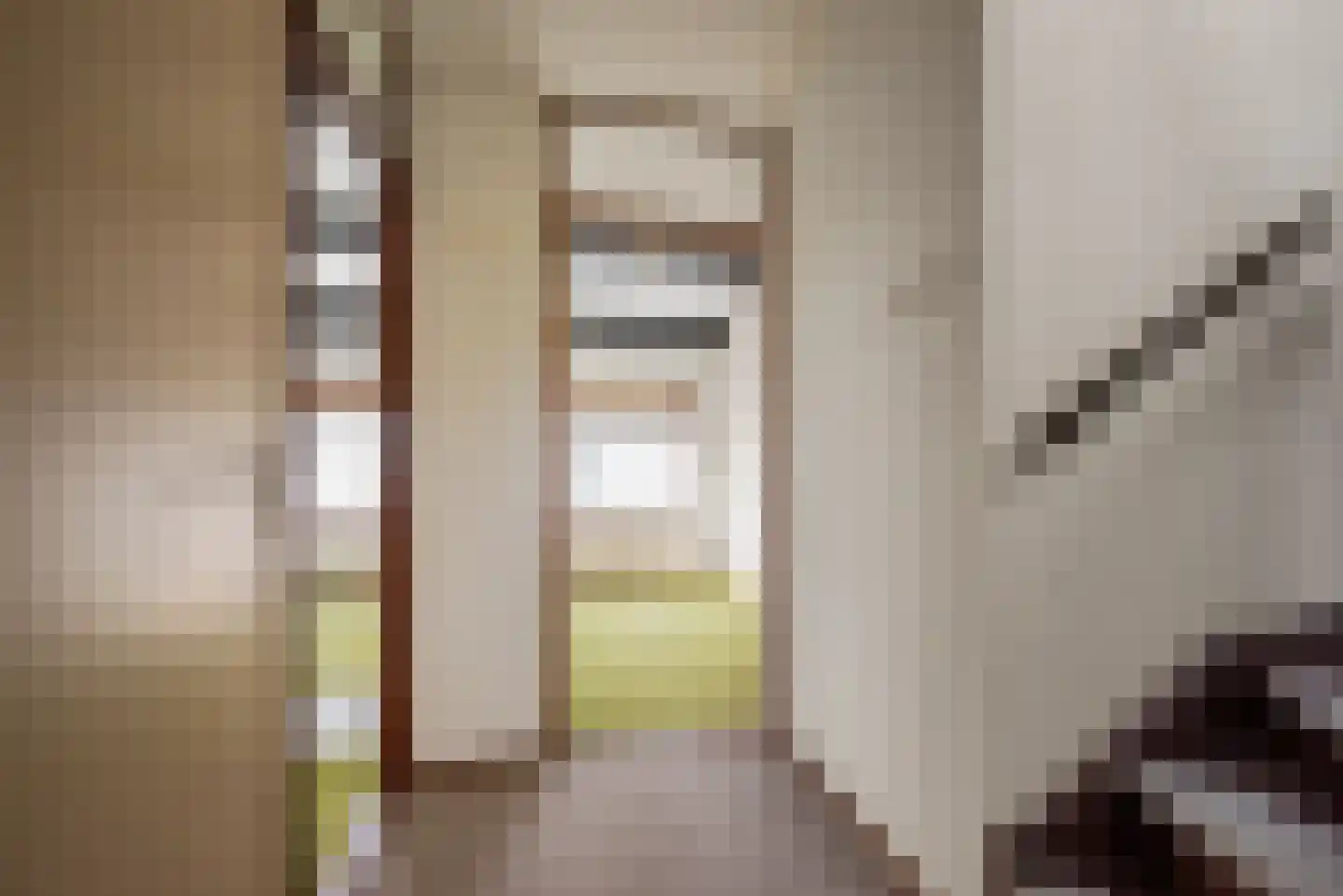 Bertha von Suttnerstraat 49 Hoofddorp thumbnail 25