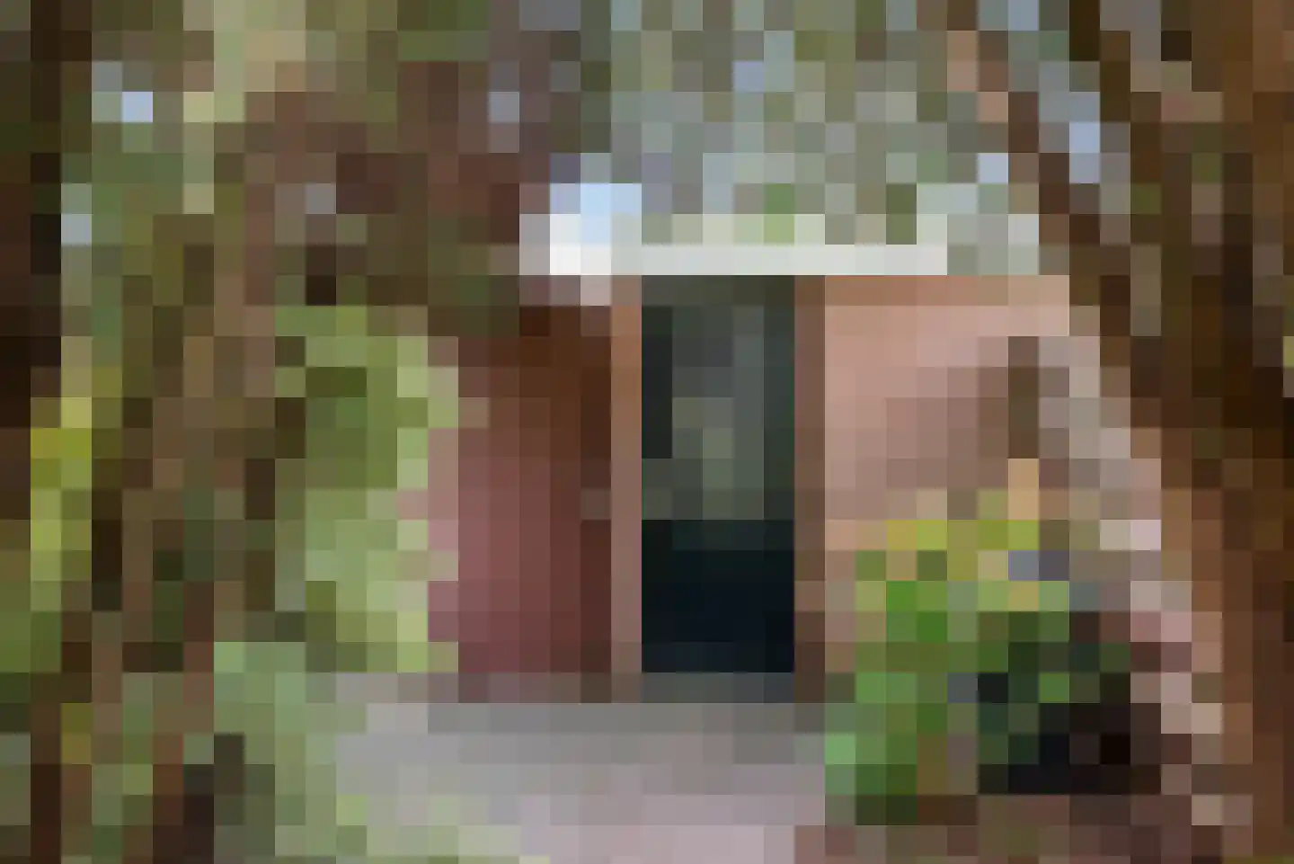 Bertha von Suttnerstraat 49 Hoofddorp thumbnail 31
