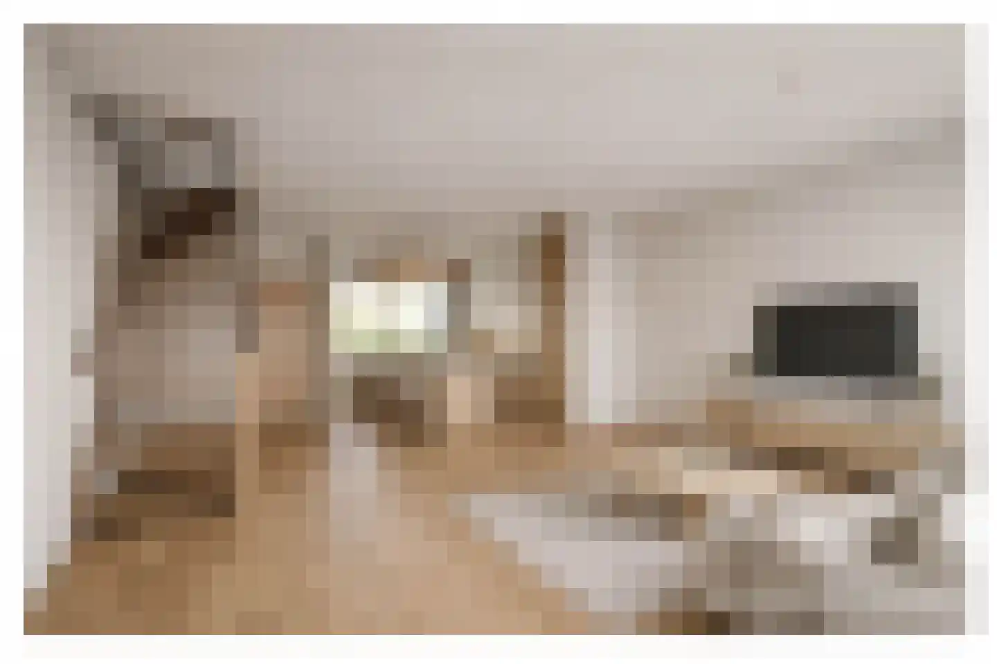 Bertha von Suttnerstraat 49 Hoofddorp thumbnail 8