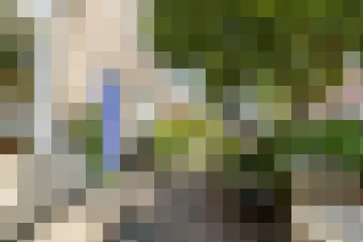 Bertha von Suttnerstraat 9 Haarlem thumbnail 43