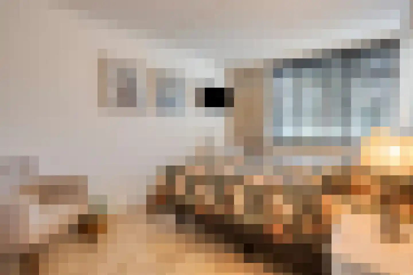 Bertha von Suttnerweg 24 Epe thumbnail 15