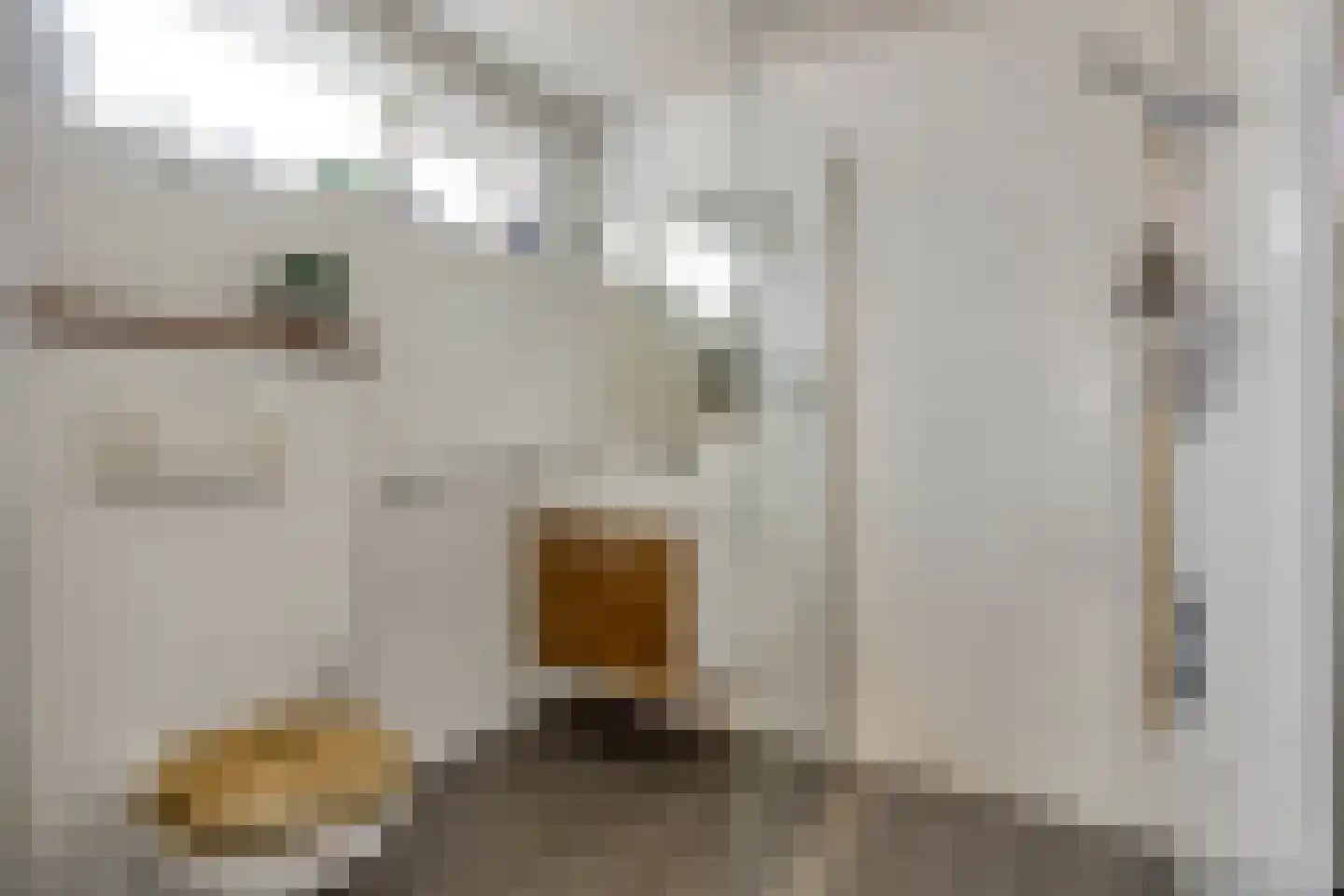 Bertha von Suttnerweg 24 Epe thumbnail 21