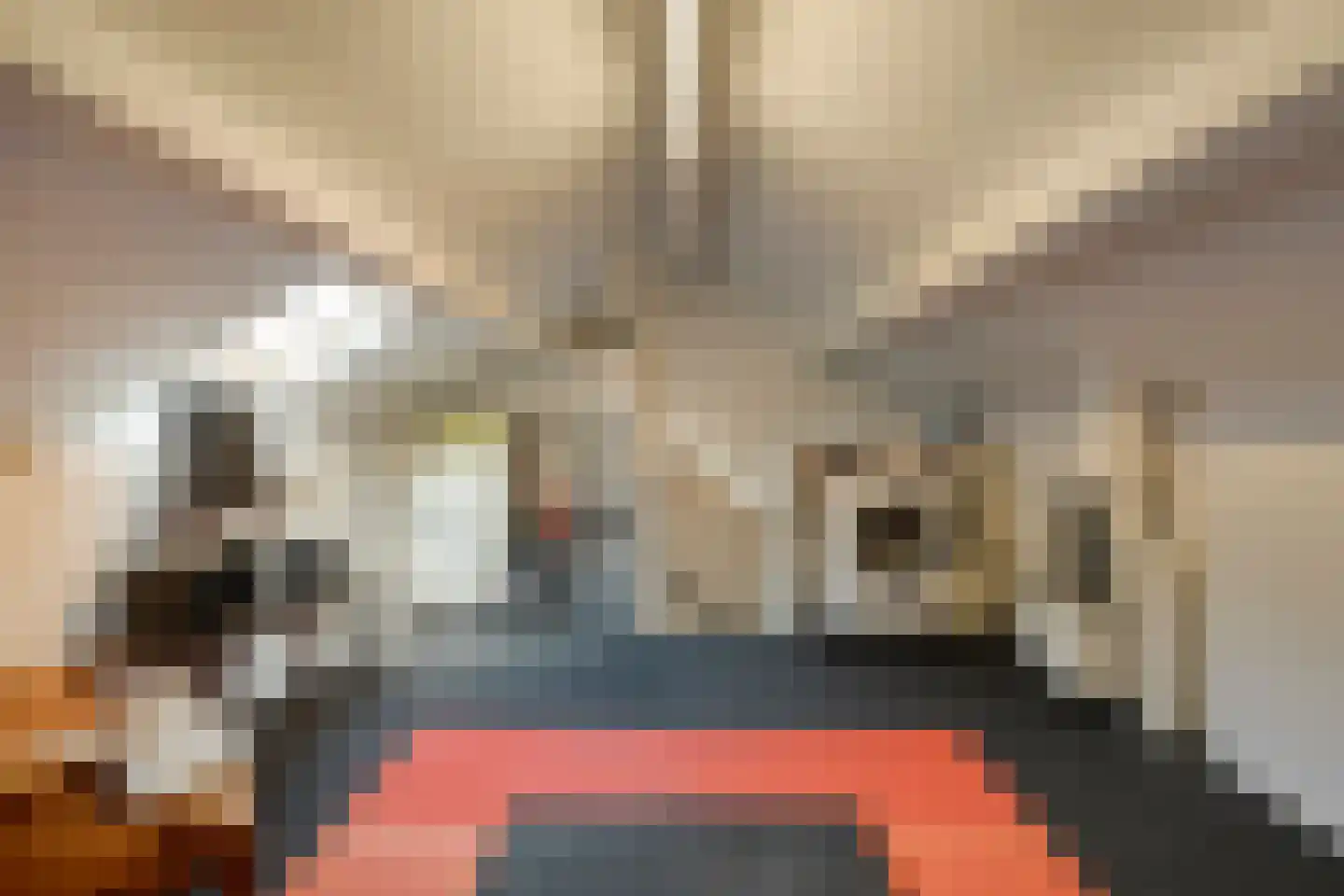Bertha von Suttnerweg 24 Epe thumbnail 24