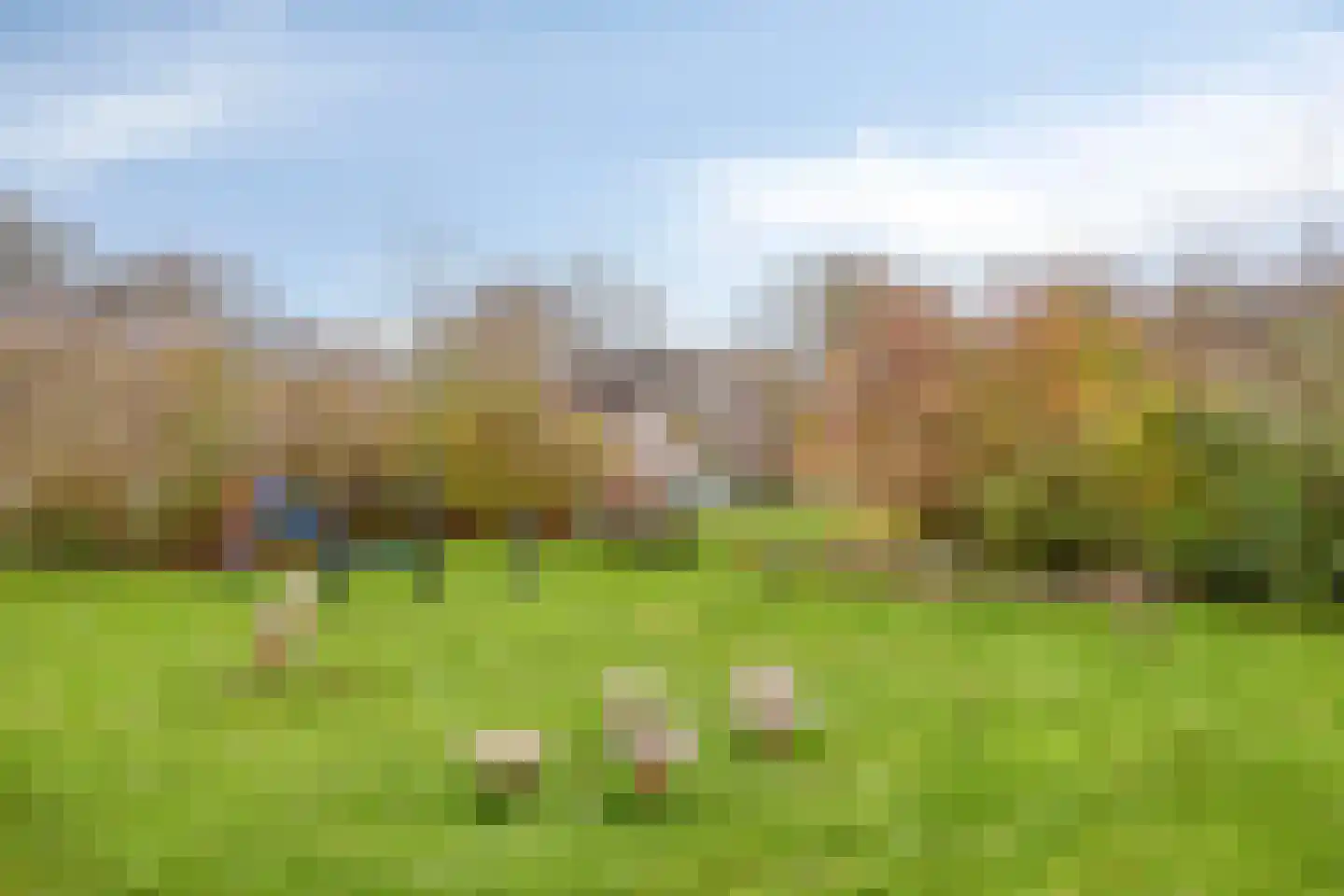 Bertha von Suttnerweg 24 Epe thumbnail 28