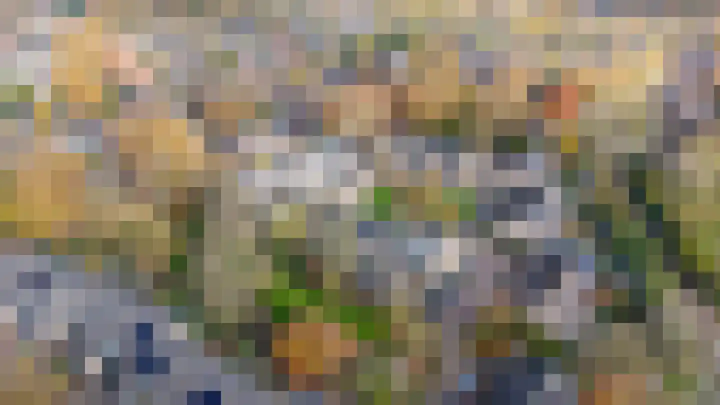Bertha von Suttnerweg 24 Epe thumbnail 29