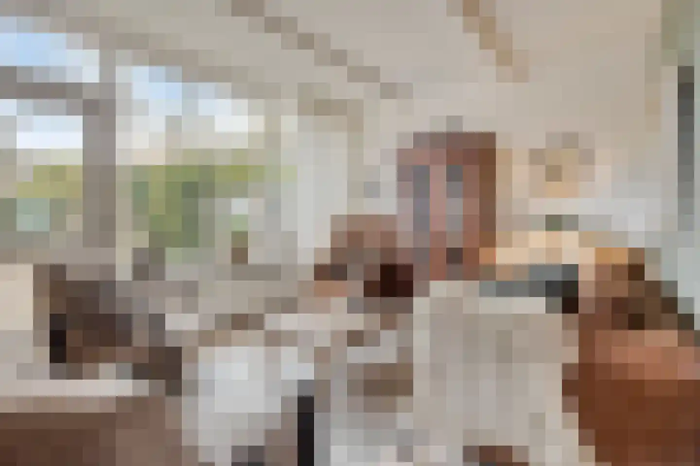 Bertha von Suttnerweg 24 Epe thumbnail 7