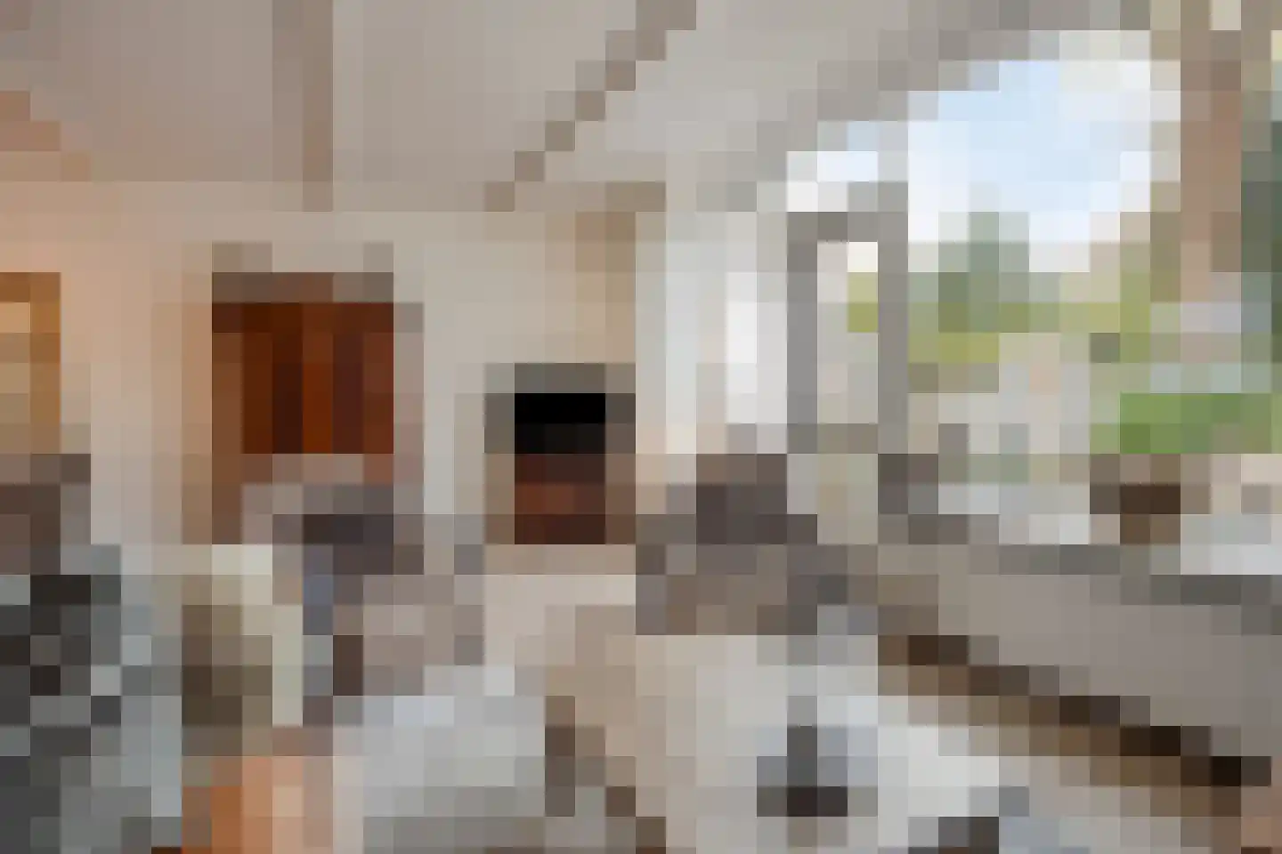 Bertha von Suttnerweg 24 Epe thumbnail 9