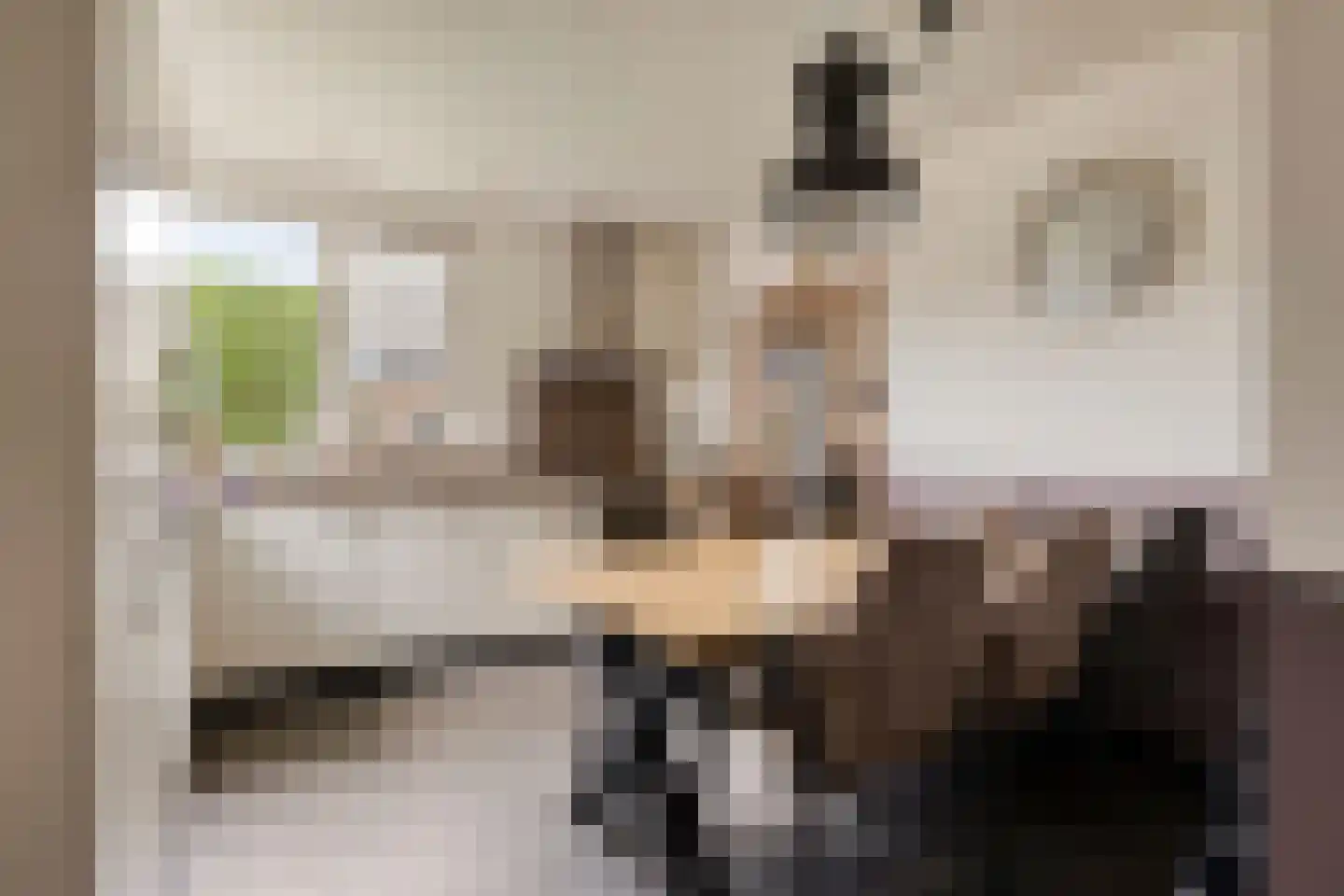 Berthastraat 3 Veldhoven thumbnail 11