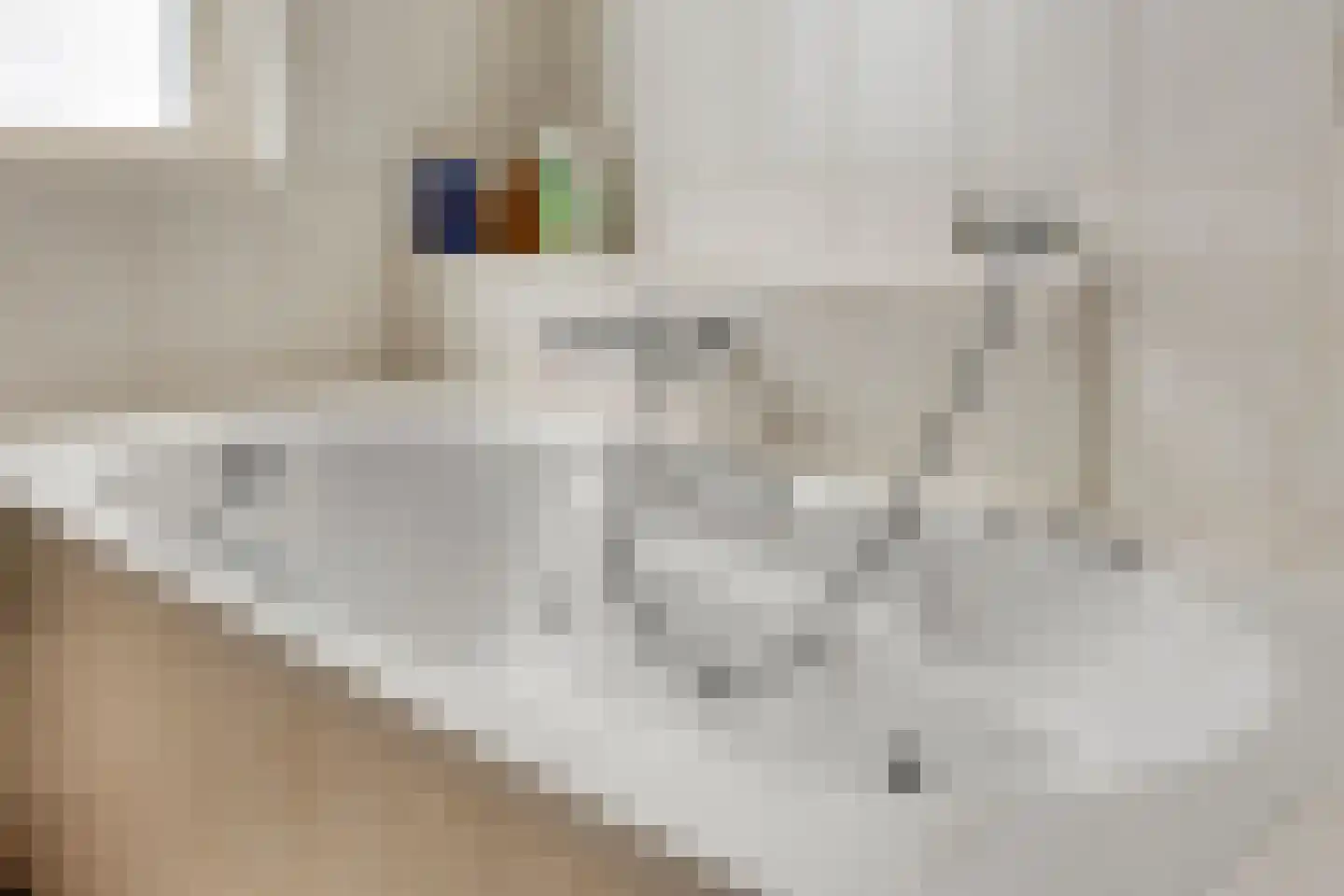 Berthastraat 3 Veldhoven thumbnail 18