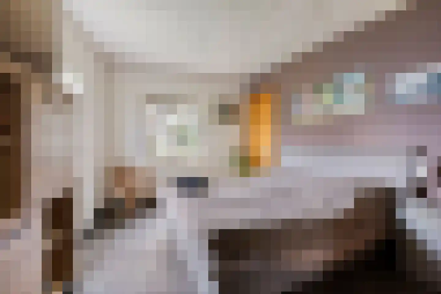 Berthastraat 3 Veldhoven thumbnail 19