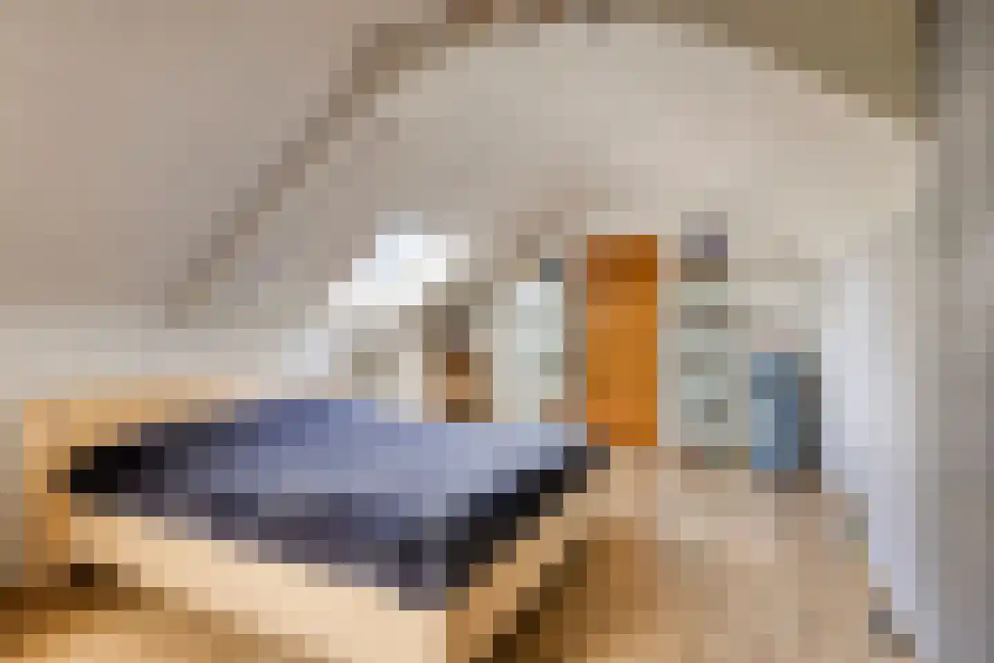 Berthastraat 3 Veldhoven thumbnail 22