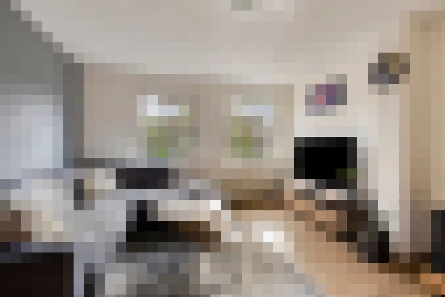Berthastraat 3 Veldhoven thumbnail 28