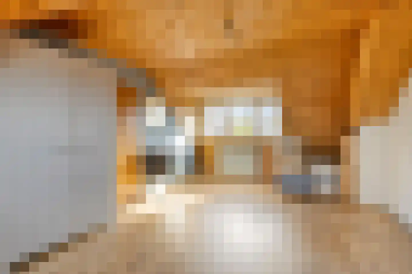 Berthastraat 3 Veldhoven thumbnail 31