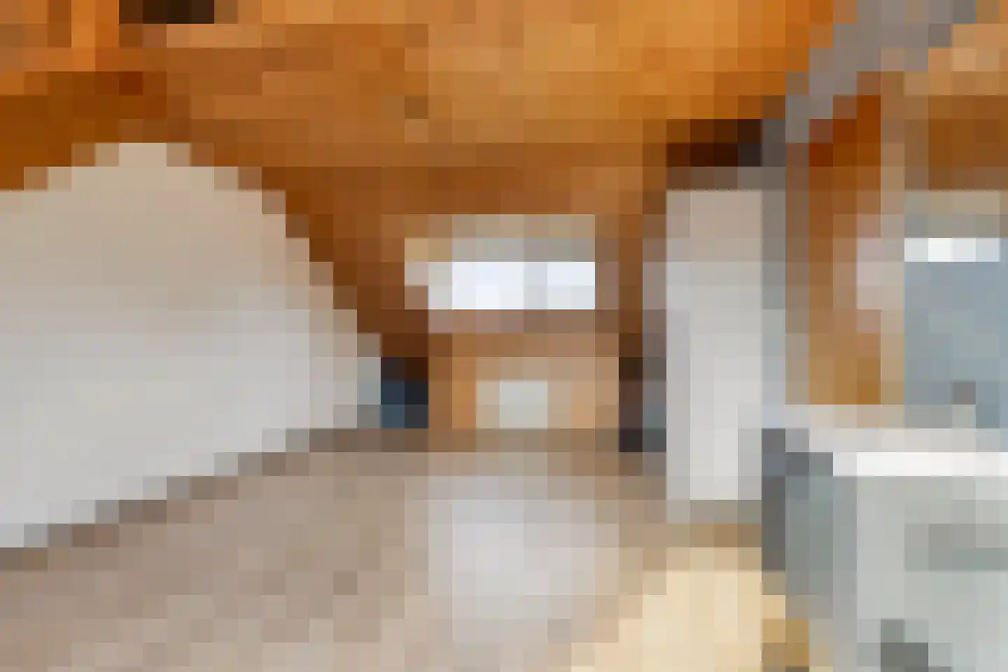 Berthastraat 3 Veldhoven thumbnail 32