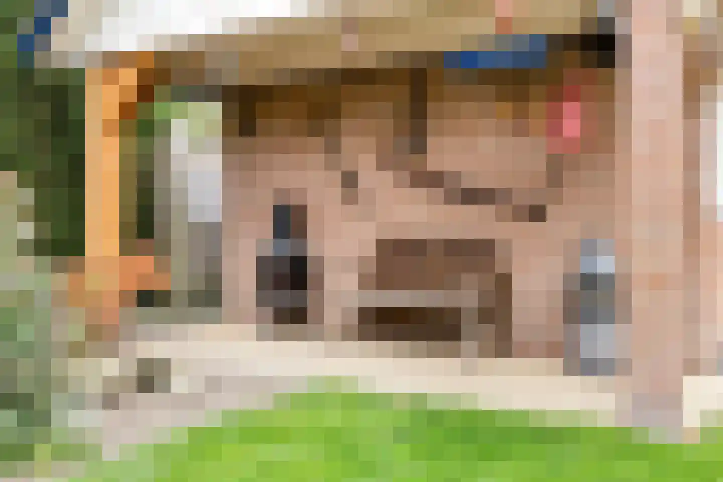 Berthastraat 3 Veldhoven thumbnail 35