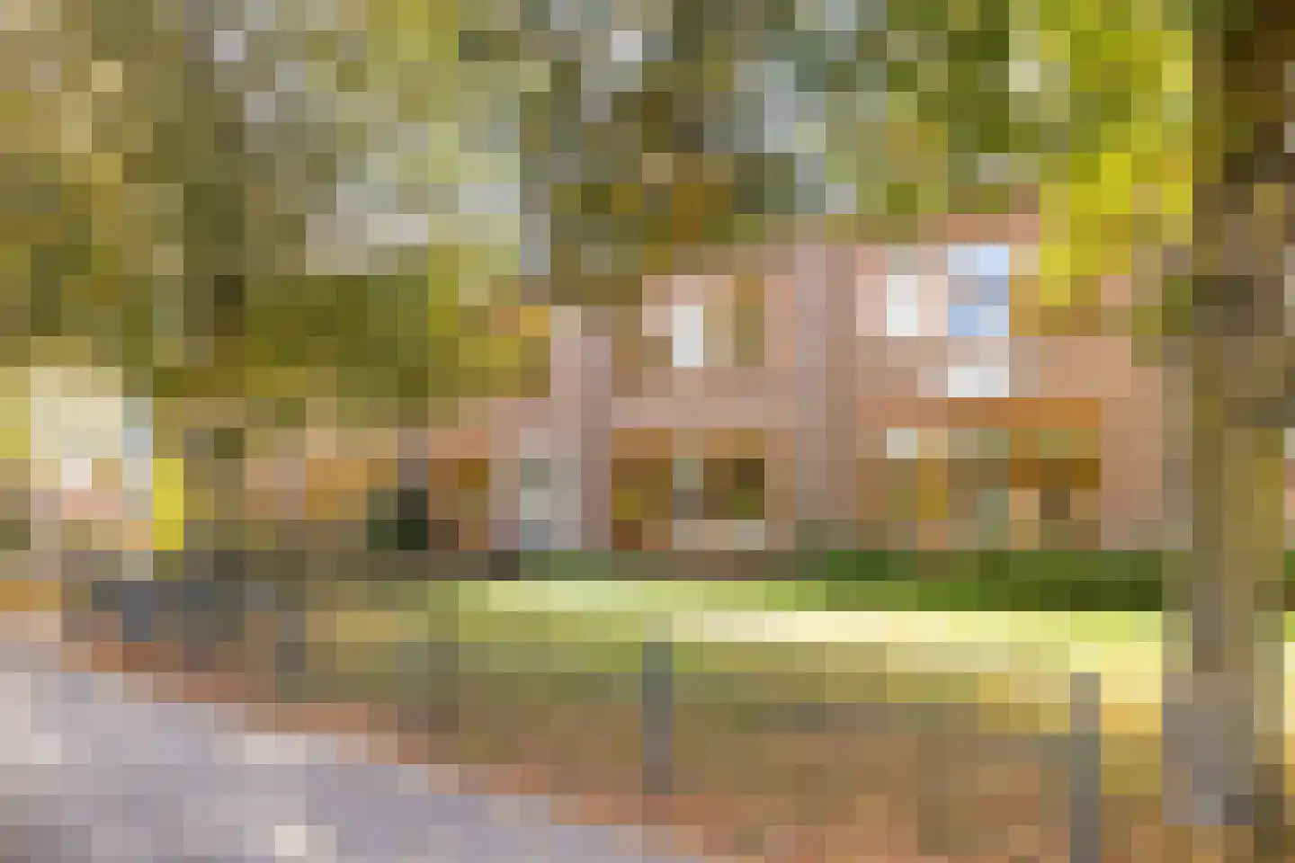 Berthastraat 3 Veldhoven thumbnail 47