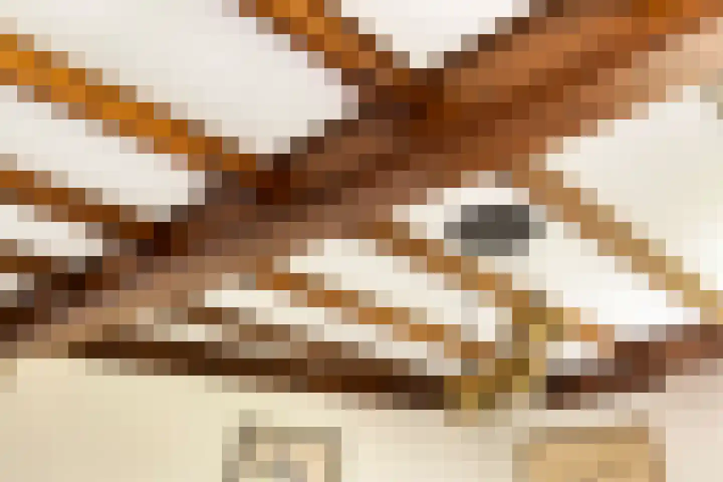 Berthastraat 3 Veldhoven thumbnail 49