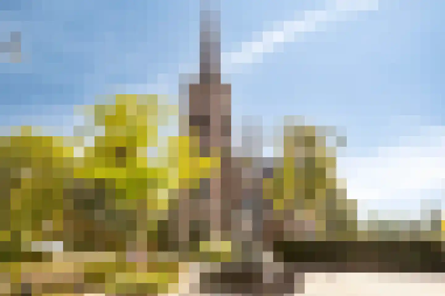 Berthastraat 3 Veldhoven thumbnail 55