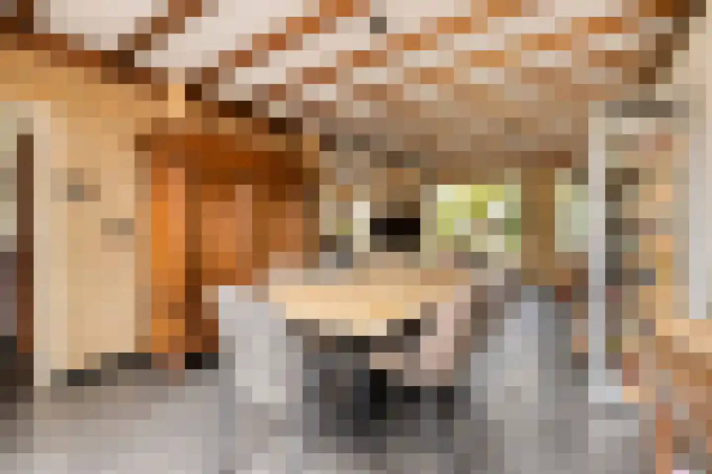 Berthastraat 3 Veldhoven thumbnail 7