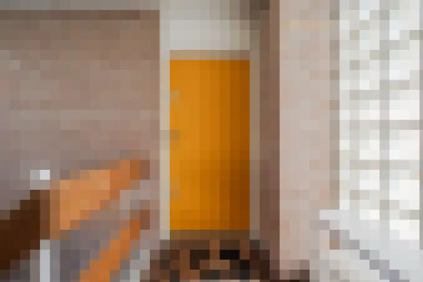 Berthold Brechtstraat 807 Amsterdam thumbnail 6