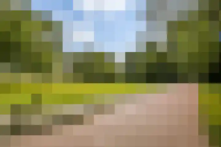 Bertiliastraat 2 A Weert thumbnail 23