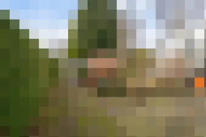 Bertiliastraat 2 A Weert thumbnail 33