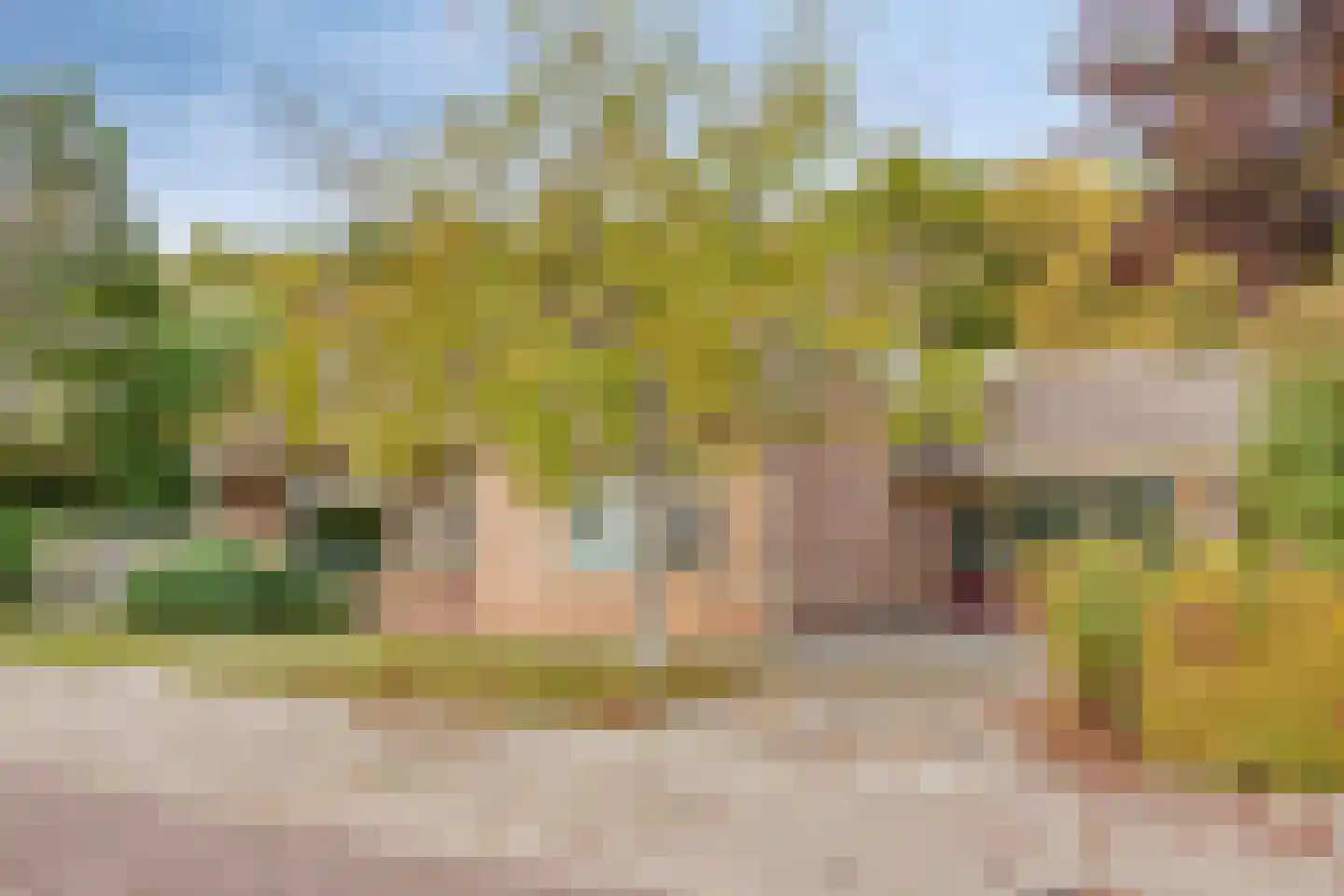 Bertiusstraat 24 Wolphaartsdijk