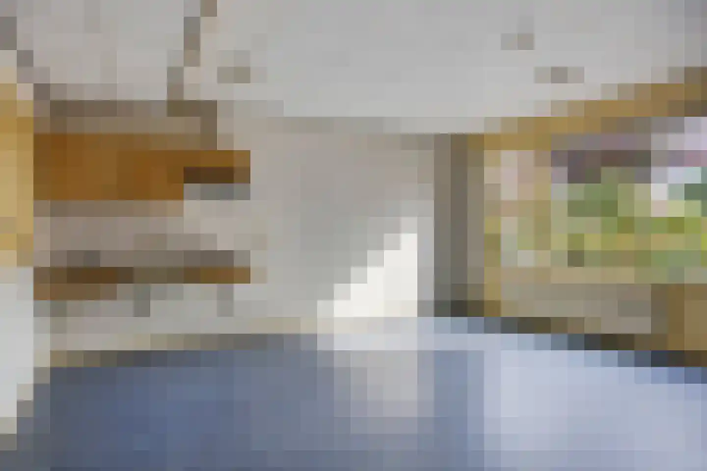Bertiusstraat 24 Wolphaartsdijk thumbnail 13