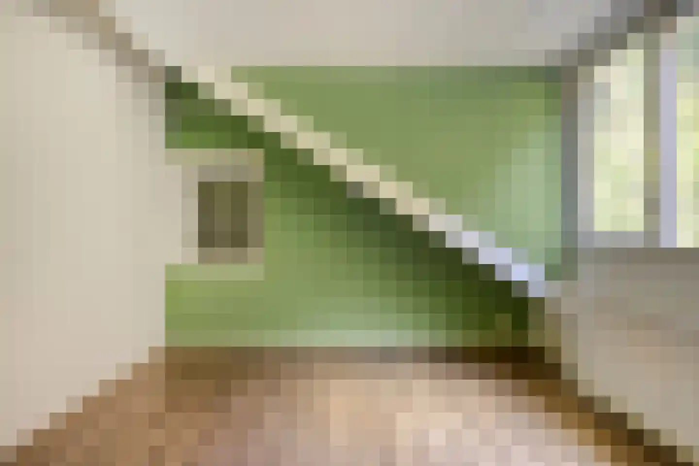 Bertiusstraat 24 Wolphaartsdijk thumbnail 30